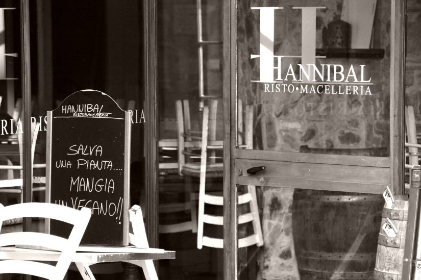 11128848_10205195360034875_1933763462135911255_o